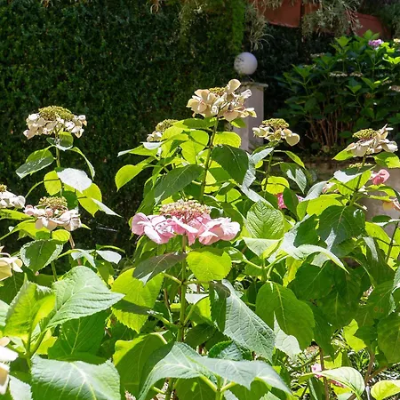 Art Loft * Montecatini Terme